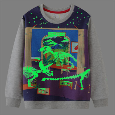 Toddler Boy Color-block Glowing Dinosaur Printed Sweatshirt