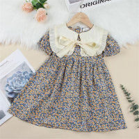 Toddler Girl Sweet Floral Bow Knot Decor Dress  Yellow