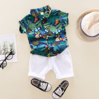 Toddler Boy Cotton Floral Casual Polo Shirt & Shorts Suit  Green