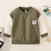 Toddler Boy Color-block Textured V-neck Sweatshirt  Green