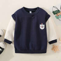 Toddler Boy Color-block Textured V-neck Sweatshirt  Deep Blue