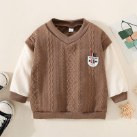 Toddler Boy Color-block Textured V-neck Sweatshirt  Chocolate