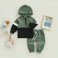 2-piece Toddler Boy Color-block Zipper Front Hoodie & Solid Color Fixed Drawstring Pants  Army Green