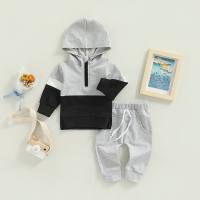 2-piece Toddler Boy Color-block Zipper Front Hoodie & Solid Color Fixed Drawstring Pants  Gray