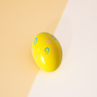 Children's Wooden Musical Egg Shaker  Multicolor